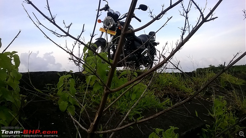 From a 49cc Silver Plus to 499cc Thunderbird - The Enfield wheel turns a royal circle-wp_20150826_028.jpg