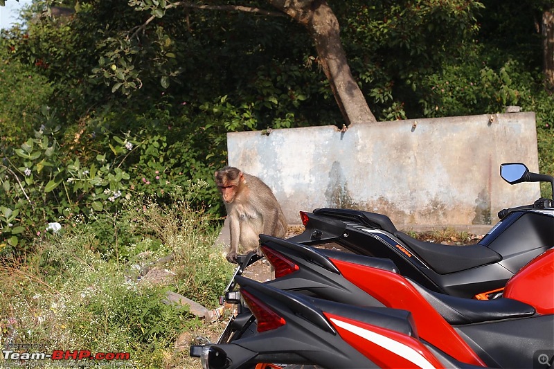 Bangalore - Sunday Morning Short Rides-pa259345-large.jpg