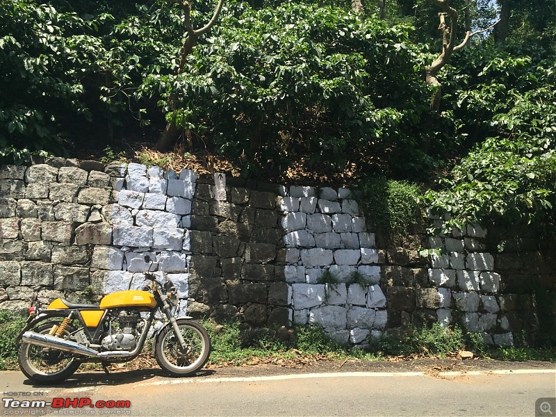 Royal Enfield Continental GT 535 : Ownership Review (32,000 km and 9 years)-img_1772-large.jpg