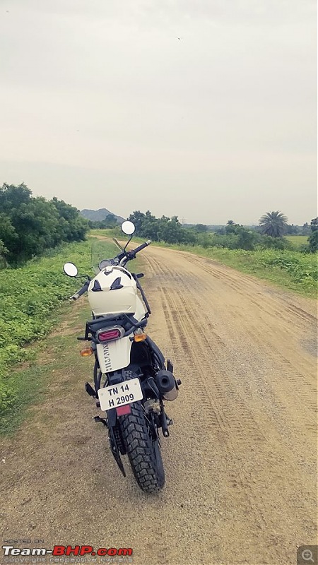 Royal Enfield Himalayan - Comprehensive Review of the 'Desi' Adventure Tourer-himalayan1.jpg