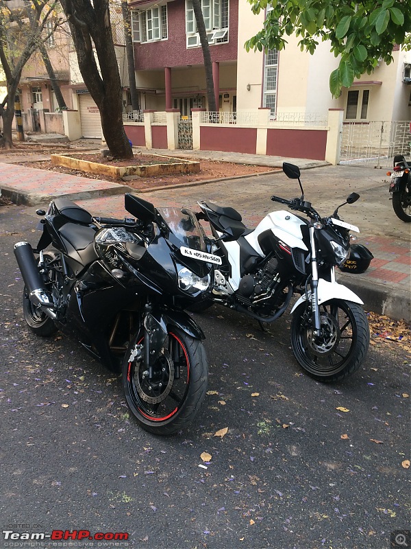 My White Japanese X-2 : The Yamaha FZ25-738.jpg