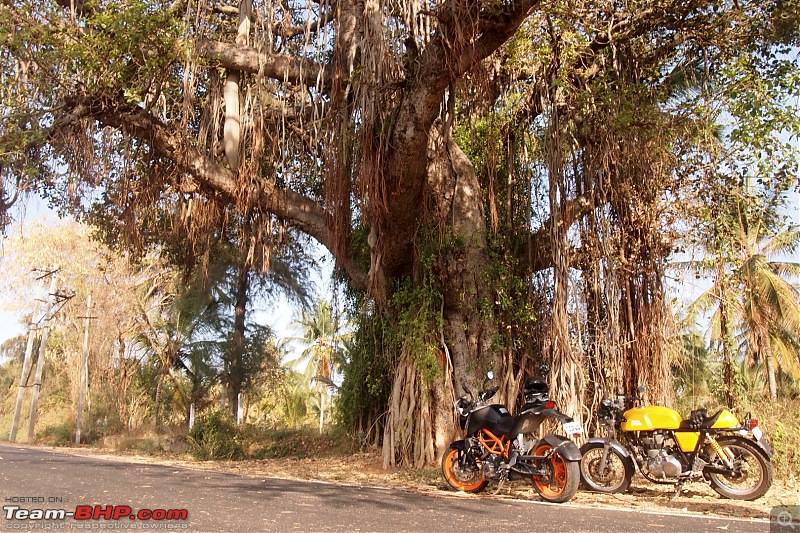 Royal Enfield Continental GT 535 : Ownership Review (32,000 km and 9 years)-11.jpg