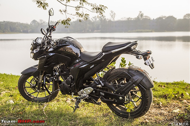 Yamaha FZ25 : An Owner's Point of View-side-profile-3.jpg