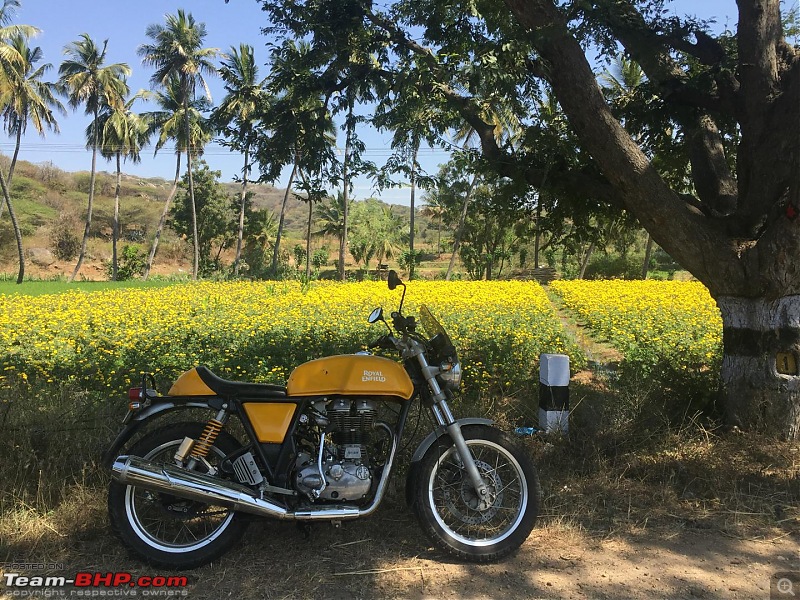 Royal Enfield Continental GT 535 : Ownership Review (32,000 km and 9 years)-img87811920x1080.jpg