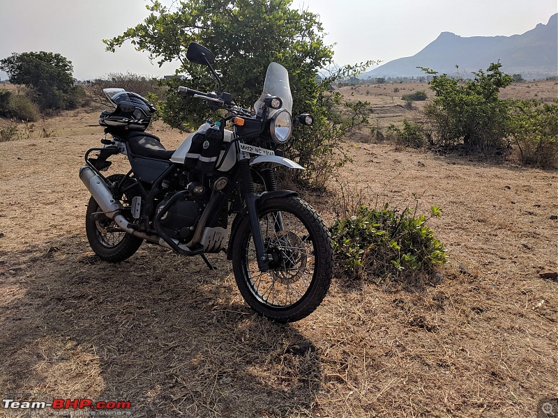 The 1st-gen Royal Enfield Himalayan thread!-milou-nashik-2.jpg