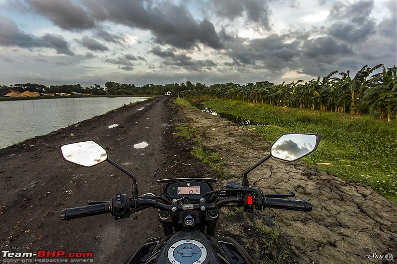 Yamaha FZ25 : An Owner's Point of View-img_7229.jpg