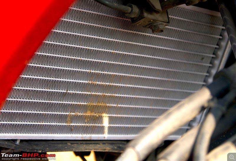 Pre-worshipped 2013 Honda CBR 250R ABS. EDIT : 3 years & 20,000 km up!-bhp023.jpg