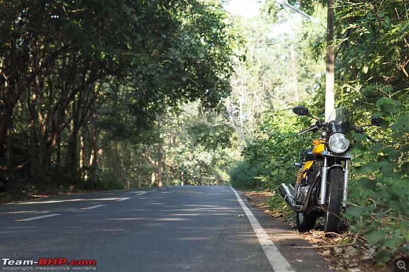 Royal Enfield Continental GT 535 : Ownership Review (32,000 km and 9 years)-pc014489.jpg