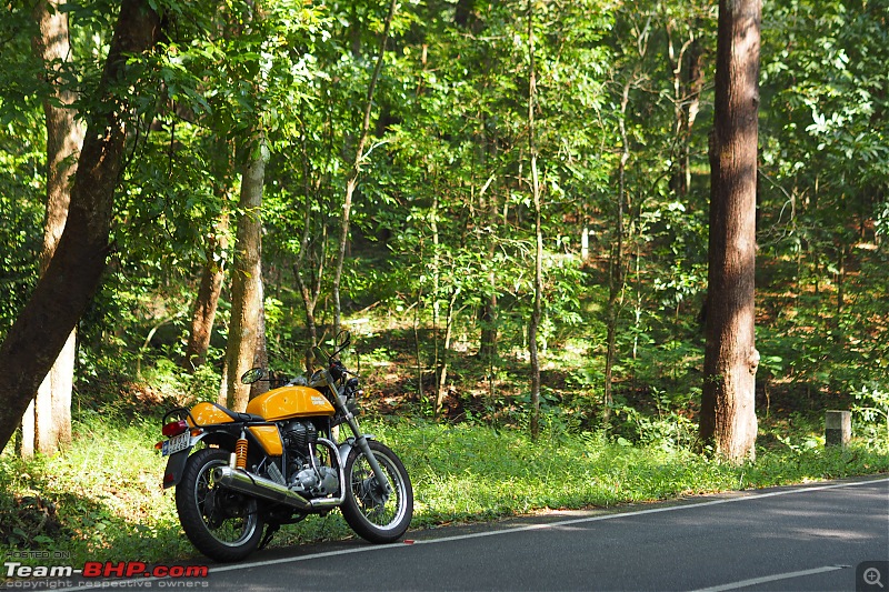 Royal Enfield Continental GT 535 : Ownership Review (32,000 km and 9 years)-pc014540.jpg