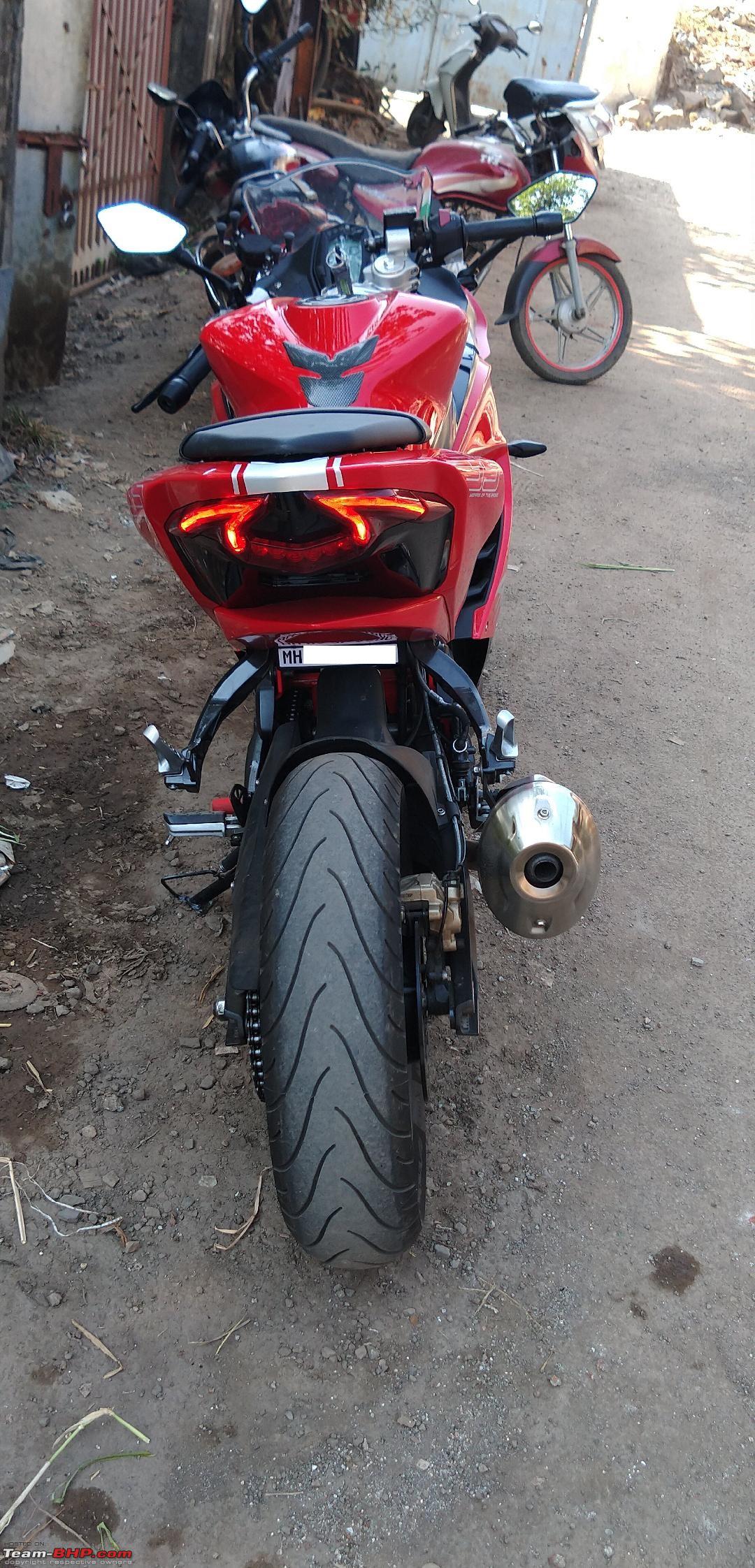 Tail tidy for rr 310 cheap