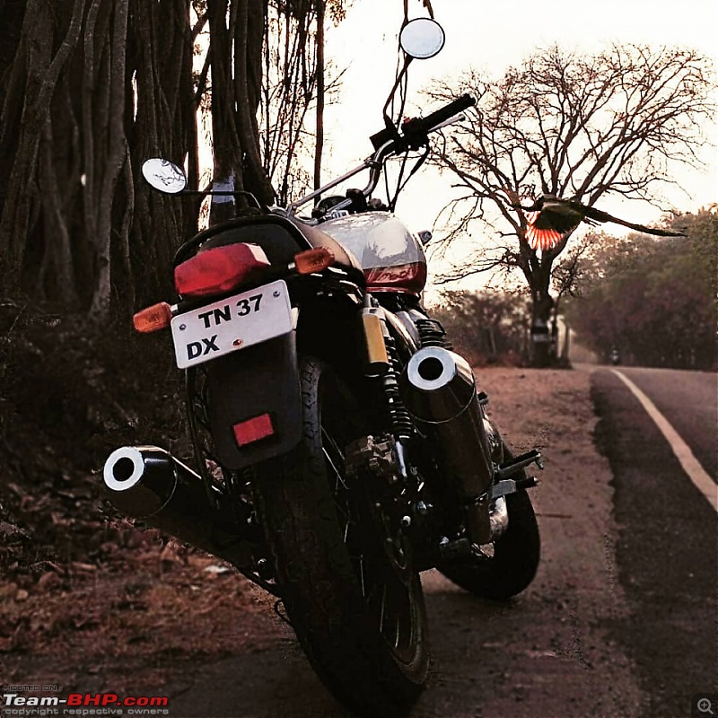 An Anglo-Indian Love Affair: My Baker Express Royal Enfield Interceptor 650-57134540_132150691186503_7528708891577745117_n.jpg