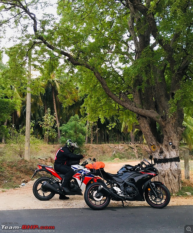 My journey from a Ninja 300 to a Yamaha YZF-R3-img_0479.jpeg