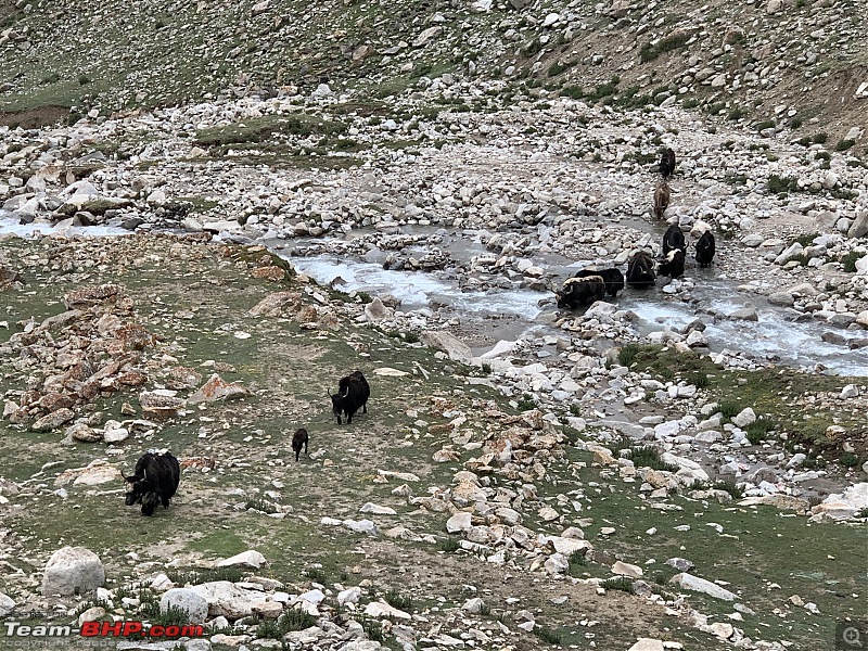 An Italian Stallion conquers the mighty Khardung La-img_4208.jpg