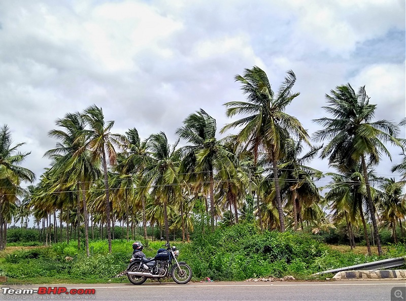 Southern Bliss | A motorcycle ride through TN-KA-PY-MH-cavy-return.jpg