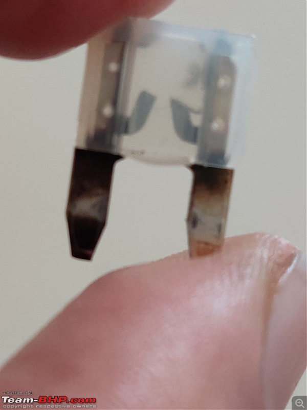 Battery installed with the wrong polarity-fuse.jpg