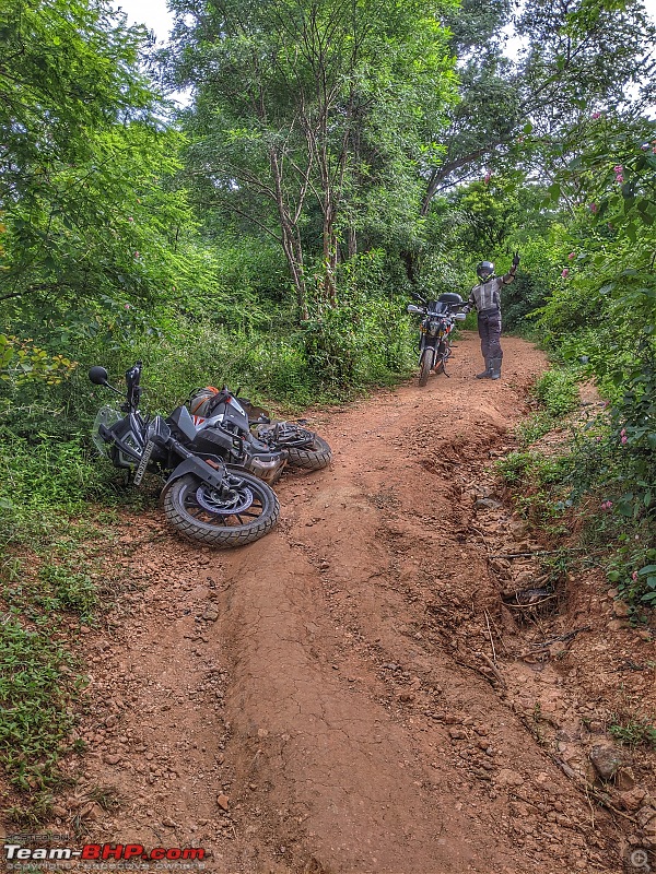 The KTM 390 Adventure (Gen- 1) Ownership Thread!-img_20200823_08215301.jpeg