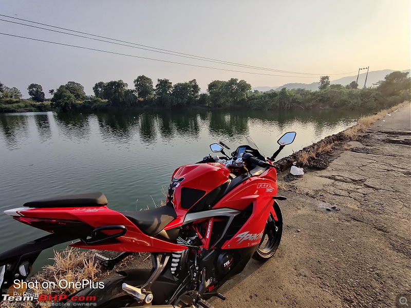 Lola is home - My TVS Apache RR310 BS6 ownership review-lola.jpg