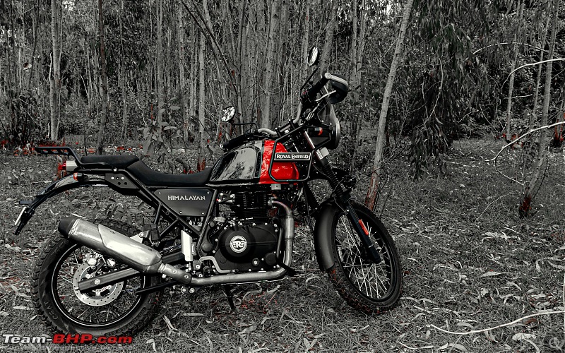Wandering Spirits Unleashed: My 2020 Royal Enfield Himalayan. Edit: Sold and upgraded-dsc_04712.jpg