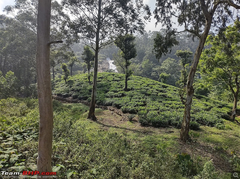 Yamaha RX100: 300 km solo ride to Valparai-25.jpg