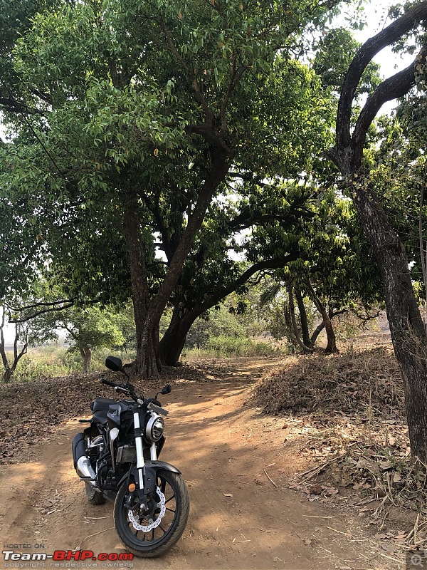 Honda CB300R Review - A life changing experience!-img_8456.jpg