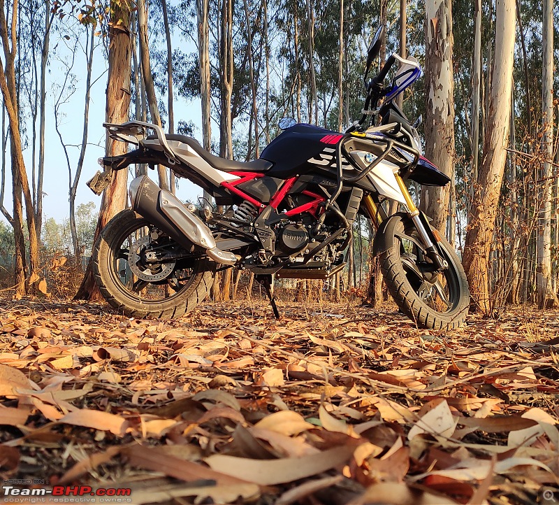 Reyah, The Lady of Bavaria | BMW G 310 GS BS6 Ownership Review-leaves.jpg