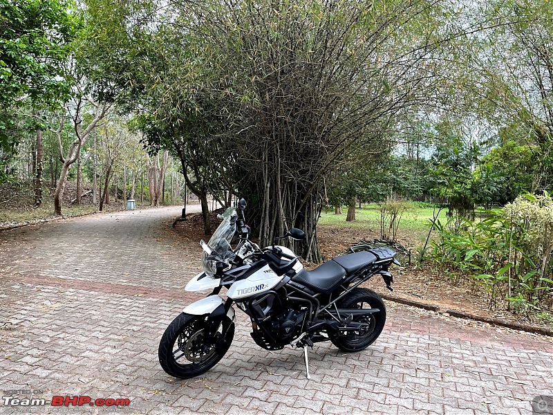 Tale of a trip on two wheels | Triumph Tiger 800 XRx | EDIT: Now sold-bike-jlrclear1.jpg