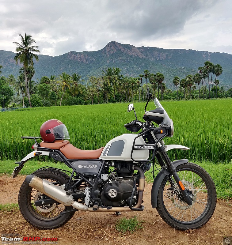 The 1st-gen Royal Enfield Himalayan thread!-3.jpeg