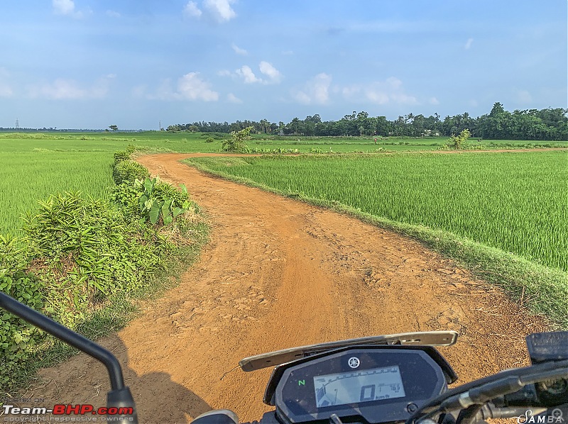 Yamaha FZ25 : An Owner's Point of View-img_8932.jpg