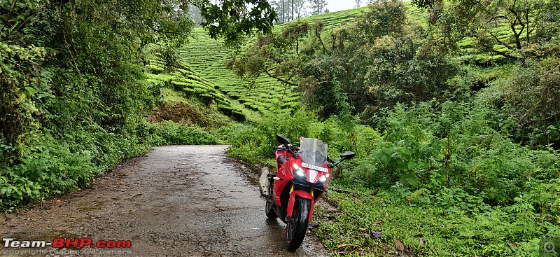 Fury in all its glory | My TVS Apache RR310 Ownership Review | EDIT: 6 years and 43,500 kms up!-img_20211113_151638.jpg