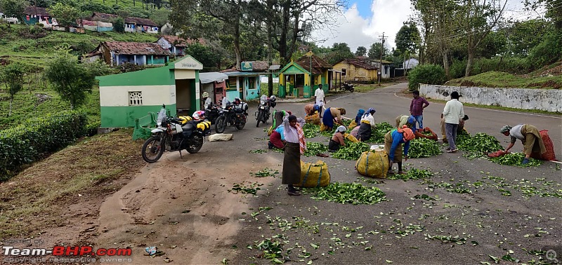 Four Himalayans tame the Nilgiris | Biking Trip | Vellore - Ooty - Vellore-whatsapp-image-20220108-10.56.44.jpeg