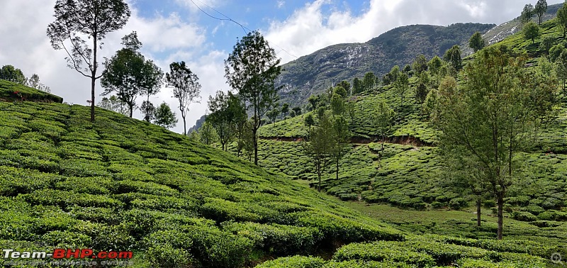 Four Himalayans tame the Nilgiris | Biking Trip | Vellore - Ooty - Vellore-whatsapp-image-20220108-10.56.45-1.jpeg