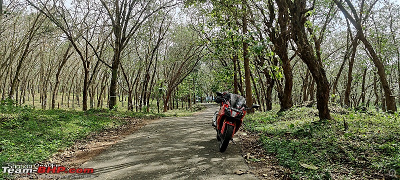 Fury in all its glory - My TVS Apache RR310 Ownership Review-img_20220814_150935.jpg