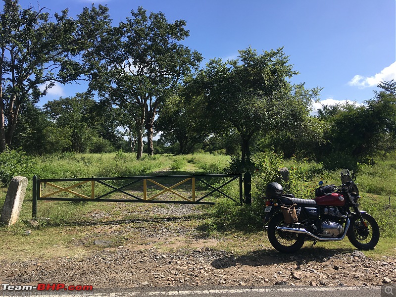 My midlife crisis fix : 2022 Royal Enfield Interceptor 650-82c5a6d9a25c44b1931d5666f2295a7b.jpeg