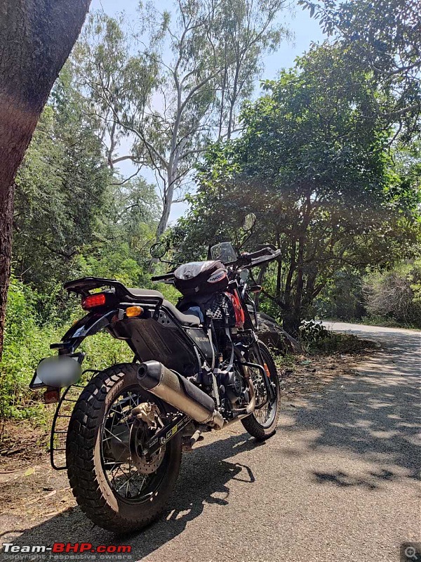 A New Beginning | My 2022 RE Himalayan-side-pic.jpeg