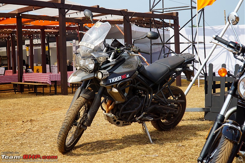 Report & Pics: India Bike Week 2023 @ Vagator, Goa-2023_india_bike_week_triumph_02.jpg