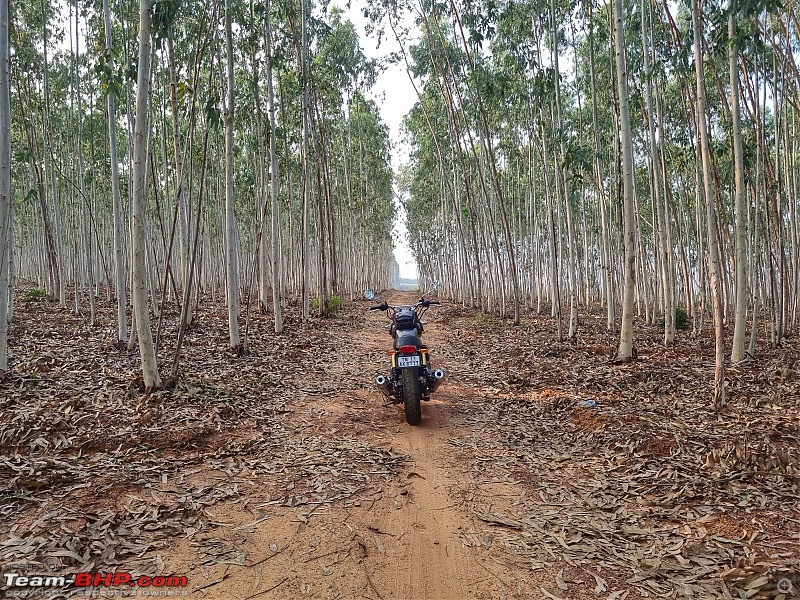 Silver Blitz 650: Royal Enfield Interceptor Ownership Review-silver-blitz-650-royal-enfield-interceptor-10.jpeg