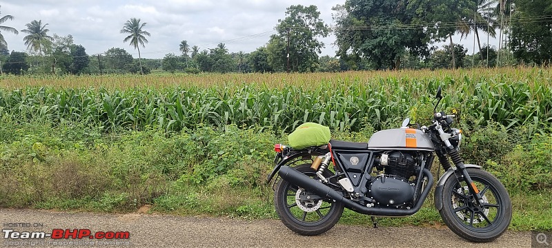 Royal Enfield Continental GT 650 Review | One year with my Apex Grey machine-nature.jpg