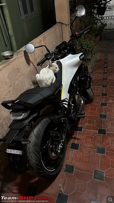1000-km Ownership Review of a 2025 Husqvarna Vitpilen 250-white-approves.jpeg