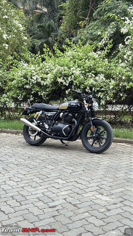 Fast Single to a Smooth Twin | KTM Adventure 390 to Royal Enfield Interceptor 650-img_5077.jpeg