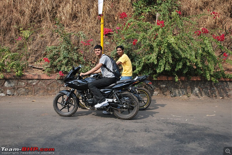 Pulsar 220 (new) or the Apache RTR 180 - EDIT - Bought Pulsar 220 M-dsc_0621.jpg