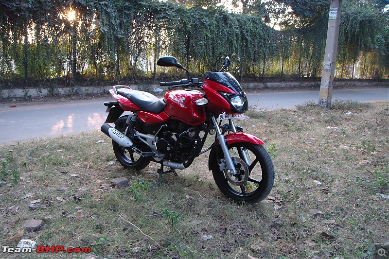 Pulsar 150 Vs Pulsar 180 !!! EDIT: Its the 180-17.jpg