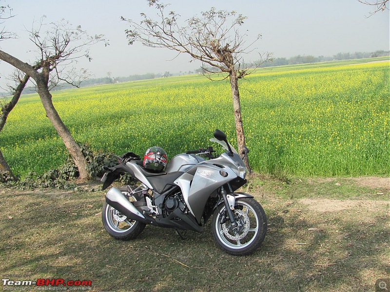 Honda CBR-250R : 4 Years Up!-6.jpg