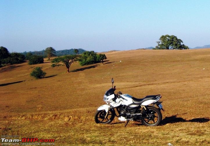 TVS Apache RTR180: Ownership Review-img_0131crop.jpg