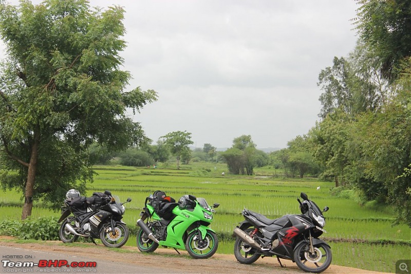 A green Ninja 250R it definitely is!-1.jpg