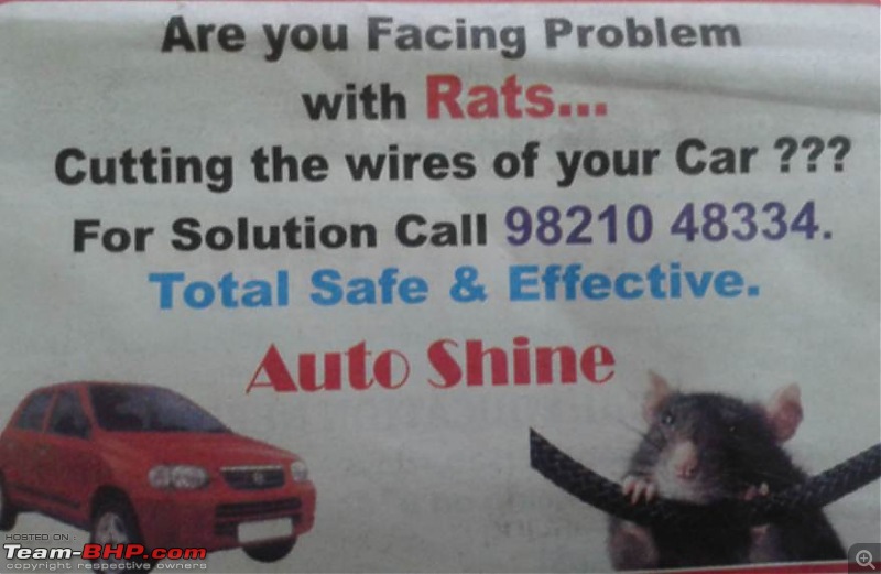 Protecting cars from the RAT menace - Autoshine Rat Spray (Mumbai)-rat-free-cars.jpg
