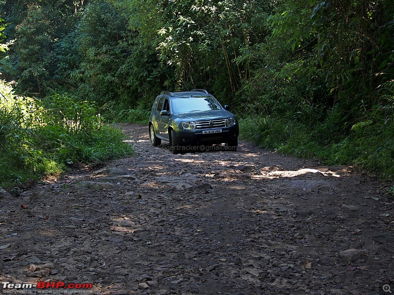 Renault Duster : Official Review-anamudi-shola.jpg