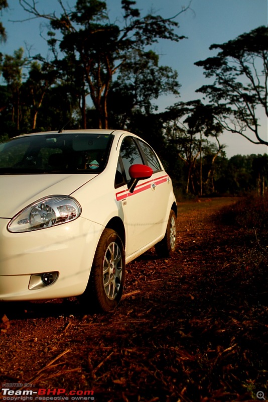 Fiat Grande Punto : Test Drive & Review-punto3.jpg