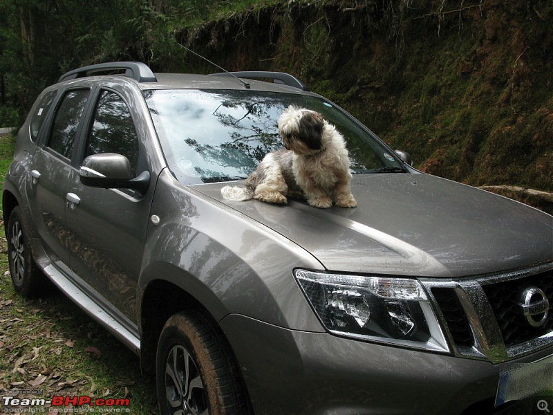 Nissan Terrano : Official Review-2.jpg