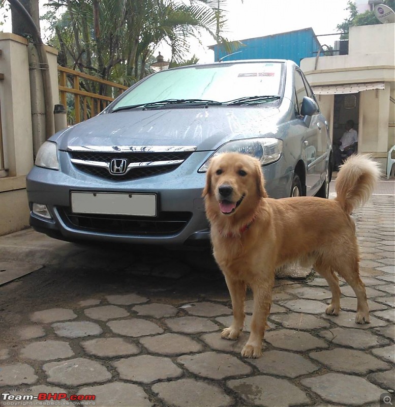 4th-gen Honda City : Official Review-561939_712692508746009_485155805_n.jpg