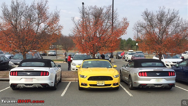 Ford Mustang 5.0 V8 GT : Official Review-img_1764.jpg